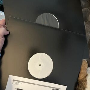 The Pretty Reckless Death by ロック & Roll Test Press バイナル /50 RARE & SOLD OUT 海外 即決