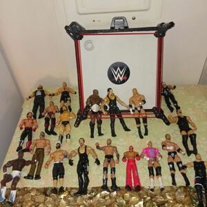 Huge WWE Lot Of 19 Jakk Wrestling Figures With Ring WCW TNA WWF 海外 即決