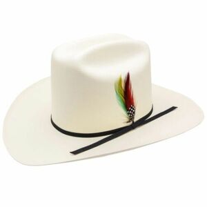 5000x Rancher Straw Cowboy Hat With Feather 5” Crown 4” Brim Size 6 3/4” 海外 即決