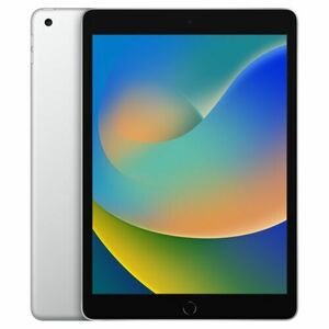 ipad 9th generation 64gb wifi 海外 即決