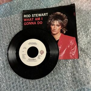 Rod Stewart What Am I Gonna Do Picture Sleeve Dancin Alone Warner Bros 45 海外 即決