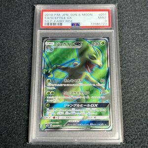 2018 Sceptile GX 051/050 FA Holo ポケモン Japanese S.E.P. Fairy Rise PSA 9 Rare 海外 即決