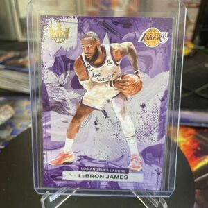 2023-24 Panini Court Kings LeBron James #52 Los Angeles Lakers 海外 即決