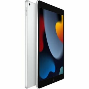 Apple 10.2" iPad 9th Generation 256GB, Wi-Fi Only Silver + Warranty ! 海外 即決