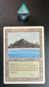 MTG Tropical Island Revised English Near Mint 海外 即決