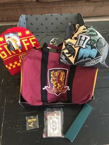 Loot Crate Wizarding World of Harry Potter "Hogwarts House Pride" Gryffindor SM 海外 即決