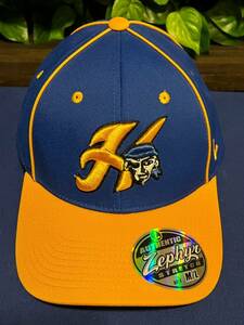 Zephyr Hastings Minnesota Raiders High School Baseball Cap Hat Medium/Large - 海外 即決