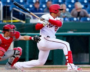 8x10 Photo of Washington Nationals outfielder Juan Soto. 海外 即決