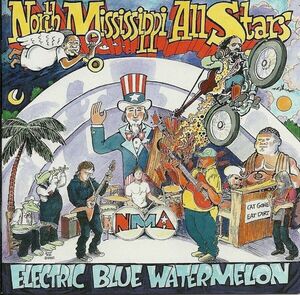 Electric Blue Watermelon by North Mississippi Allstars (CD, 2005) 海外 即決