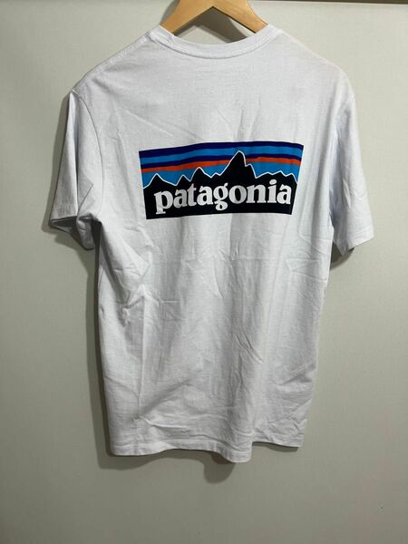 Patagoniaホワイト　Tシャツ　ロゴTシャツ