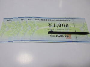 ■【ビックカメラ株主優待1000円券×9枚】2024年5月31日迄■普通郵便無料