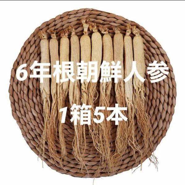 6年根乾燥朝鮮人参　野生環境黒土露地栽培　白参　高麗人参　箱付き　プレゼント適用