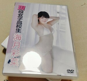 【DVD】 海月彩菜 現役 