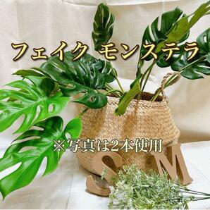 【特価】フェイクグリーン モンステラ 1本 店頭 ディスプレイ サロン 衣替え 夏 引越し 観葉植物　人工植物