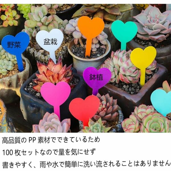 園芸用ネームラベル　園芸用ラベル　ネームプレート　100枚　緑色　観葉植物