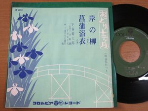 EPw209／下谷菊太郎：岸の柳/菖浦浴衣.