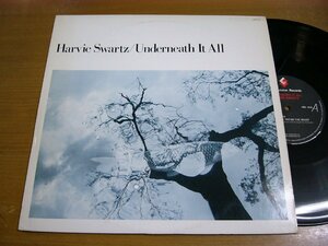 LPz631／HARVIE SWARTZ ハーヴィーシュワルツ：UNDERNEATH IT ALL レインボウ.