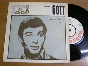 EPJ867／KAREL GOTT：KAVA A RYZE.