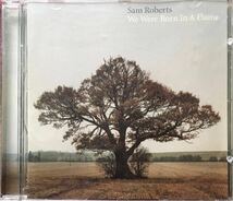 Sam Roberts [We Were Born in a Flame] カナダ / シンガーソングライター / フォークロック / ルーツロック / ギターポップ_画像1