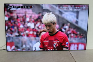 Z99/425 LG OLED55G1PJA 55型 4K 有機 EL テレビ 2021年製 地上デジタル放送視聴可能 直接引き取りのみ対応