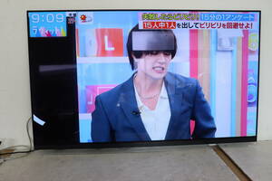 Z99/483 LG OLED55E9PJA 55型 有機EL テレビ 2019年製 地上デジタル放送視聴可能 直接引き取りのみ対応