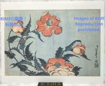 ポスター 茶子 葛飾北斎 けし かつしか ほくさい Poster Keshi Katsushika Hokusai Papaver somniferum Opium poppy_画像1