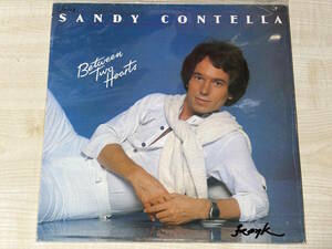 ☆彡AOR レコード☆彡 SANDY CONTELLA “BETWEEN TWO HEARTS” JAY GRAYDON DAVID FOSTER