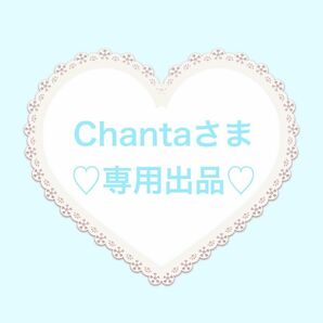 chantaさま専用出品