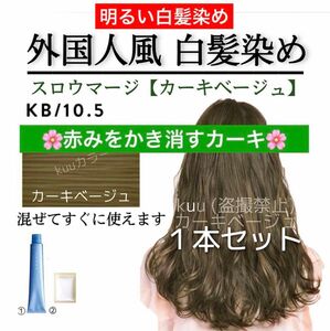 スロウカラー 白髪染め スロウマージ【ヘアカラー ホワイトブリーチ アディクシー プリミエンス ムラシャン オキシ同梱割有】