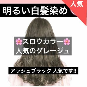 スロウカラー 白髪染め スロウマージ【ヘアカラー ホワイトブリーチ アディクシー プリミエンス ムラシャン オキシ同梱割有】