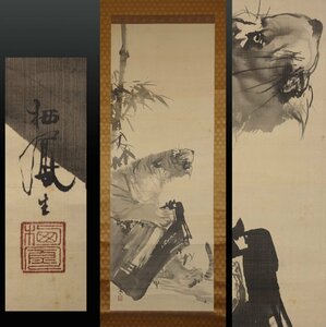 Art hand Auction [Reproduction] Kuratsubo ◆ Takeuchi Seiho, Fierce Tiger 1 piece Old calligraphy Old document Old book Ink painting Japanese painting Animal painting Learned from Kono Umeyama Received the Order of Culture Kyoto art world Tea hanging scroll, Painting, Japanese painting, Flowers and Birds, Wildlife