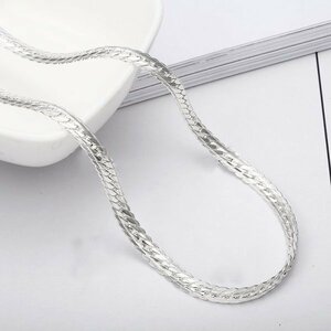 [2022 summer new work / factory special order goods / stock barely / rare exhibition / free shipping ]20 -inch 53 centimeter / flat platinum coat necklace 