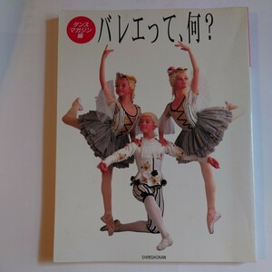 バレエって、何？ ダンスマガジン編 新書館　1993年発行