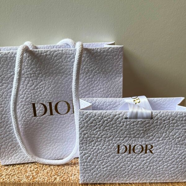 Dior ショップ袋 リップ入れ＋紙袋