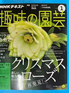 NHKテキスト趣味の園芸　クリスマスローズ　２冊セット（２冊セットに変更）