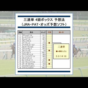 ＿＿三連単で248万円稼いだ競馬予想法＿＿回収率345%～1740%＿＿（JRA・PAT・予想ソフト）