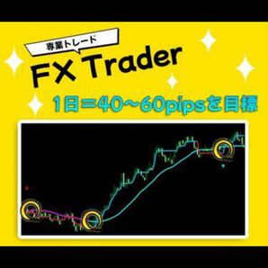 ★FX　専業 FXのトレード手法兼サインツールお譲りします★FXで2種類のインジケーターを組み合わせた無裁量トレード手法★