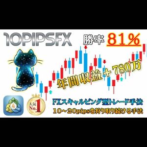 10pipsを狩り続ける!【10pipsFX】 FX トレード手法 MT4 年間利益780万円 スキャルピング デイトレード 