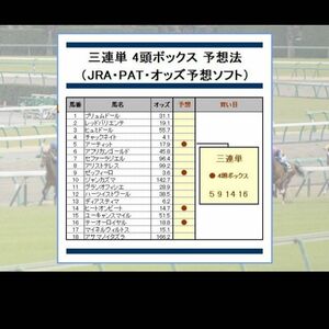 ＿＿三連単で248万円稼いだ競馬予想法＿＿回収率345%～1740%＿＿（JRA・PAT・予想ソフト