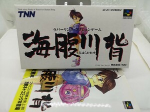 【美品・箱説付き(攻略本付き)◆SFC 海腹川背 ラバーリング・アクションゲーム 他にも出品中、※匿名・同梱可 】スーパーファミコン/P