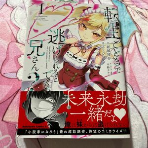 転生ごときで逃げられるとでも、兄さん？　１ （角川コミックス・エース） 紙城境介　ユリシロ／漫画　木鈴カケル　コミックス　初版