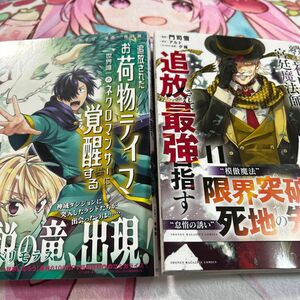 　四冊　味方が弱すぎて補助魔法に徹していた宮廷魔法師、追放されて最強を目指す　１１　コミックス　初版　