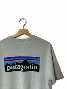 【Patagonia】バックプリント Tシャツ