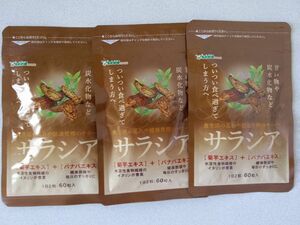 送料無料 サラシア 約3ヶ月分(1ヶ月分60粒入×3袋)サプリメント シードコムス ダイエット サラシア茶 菊芋 イヌリン