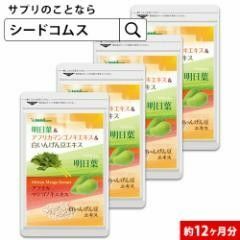 明日葉 アフリカマンゴノキ 白いんげん豆 約12ヵ月分 ダイエット エラグ酸 サプリ 健康食品 シードコムス