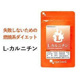 L-カルニチン　約１ヵ月分(90粒)　オーガランド　ダイエット アミノ酸 燃焼系 サプリ