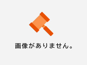 ◆564　清水ちか　無色+日記　アイドル