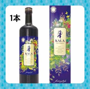 カラ酵素1本