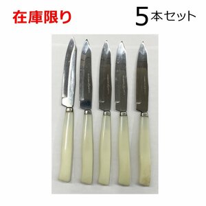 在庫限り 処分品 ステンレス フルーツナイフ 5本セット レターパック・クリックポスト可