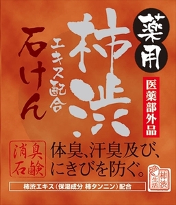 まとめ得 薬用柿渋エキス配合石けんＫＴＹ マックス 石鹸 x [6個] /h